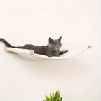 Wall Cat Tree - Space-Saving