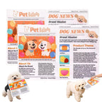 2-Pack Indestructible Newspaper Dog Toy