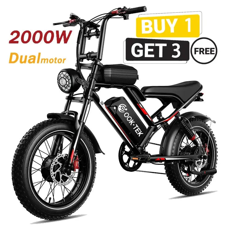 2kW New High Speed 20inch Hydraulic brake Adults Electric Bike With 25AH Dual Motor Electric Motorcycle Bicycle