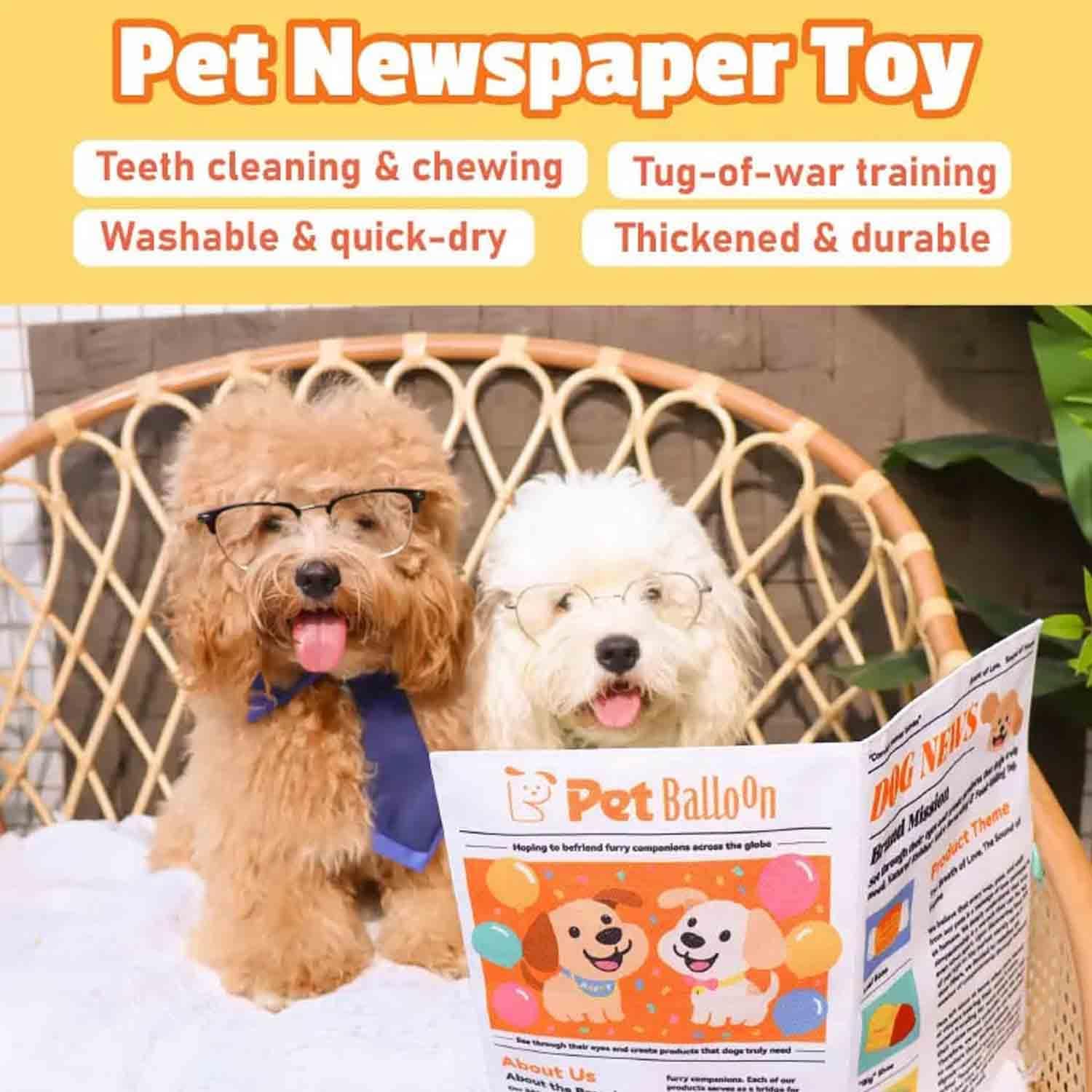 2-Pack Indestructible Newspaper Dog Toy
