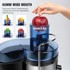 Cold Press Juicer Machine — Wide Feed Chute for Fruits & Vegetables